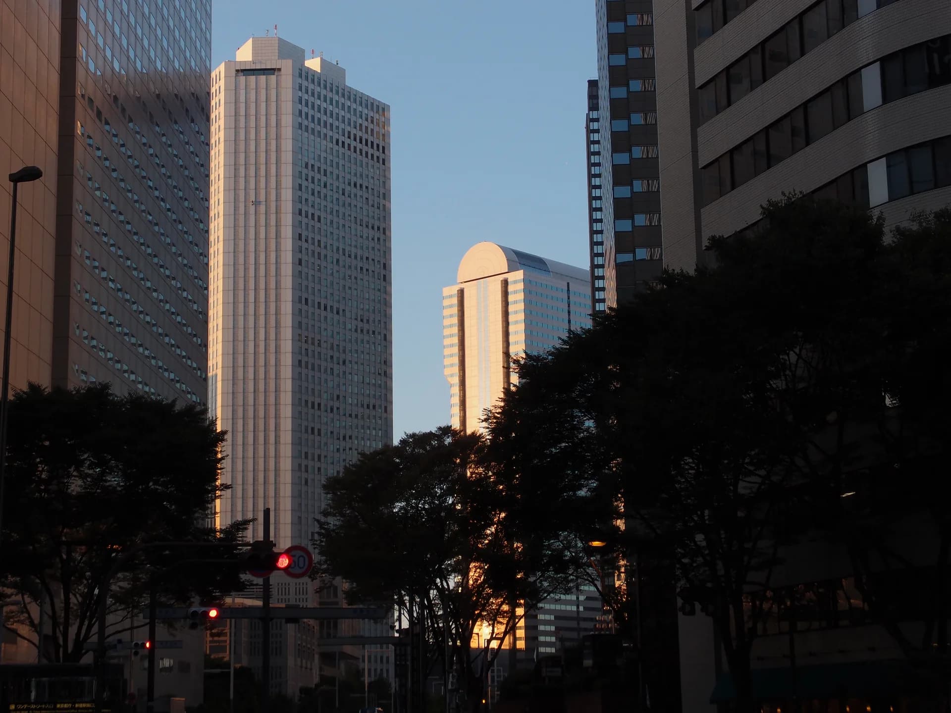 Nishi-Shinjuku Area Guide
