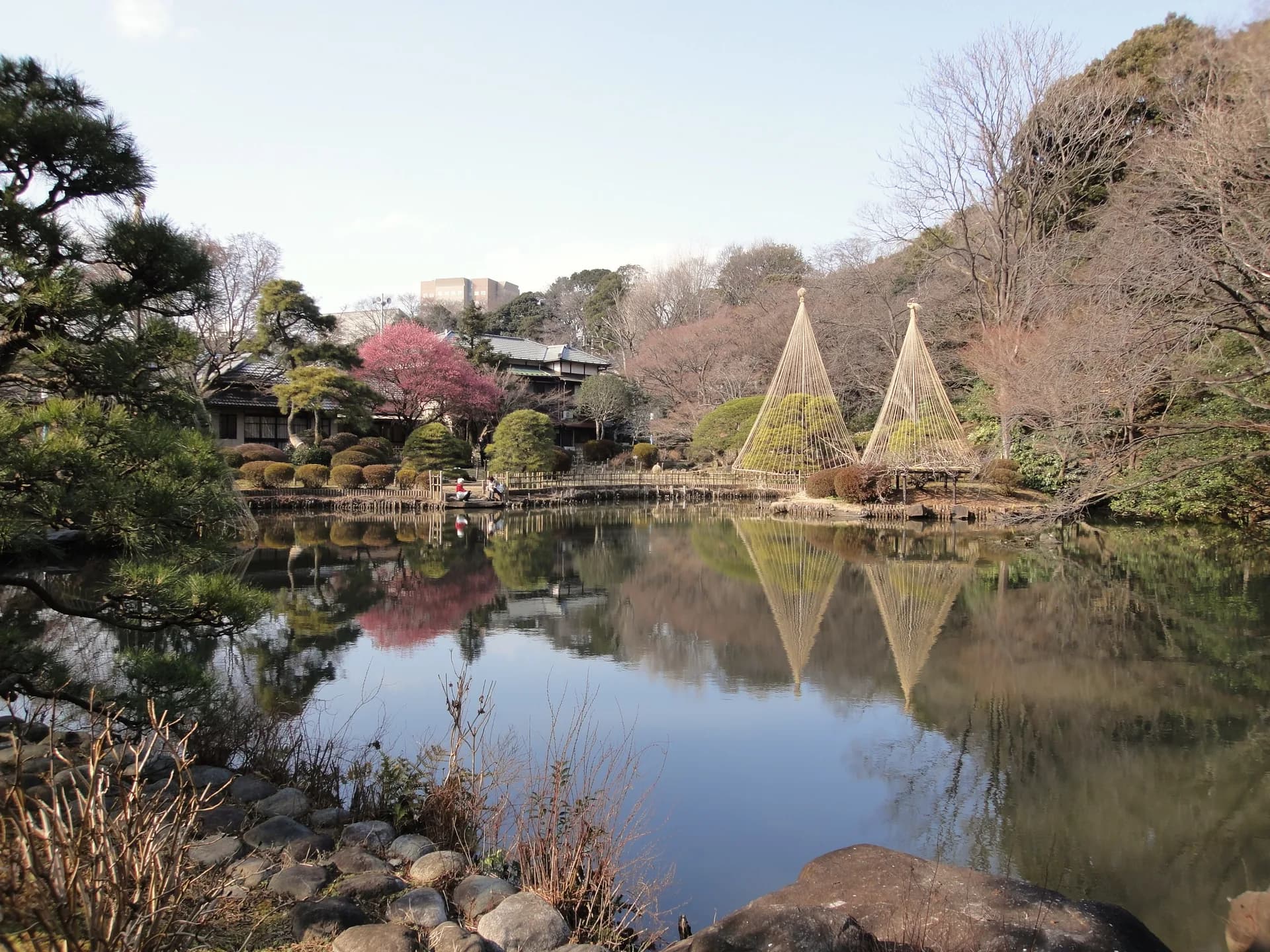 Mejirodai Area Guide