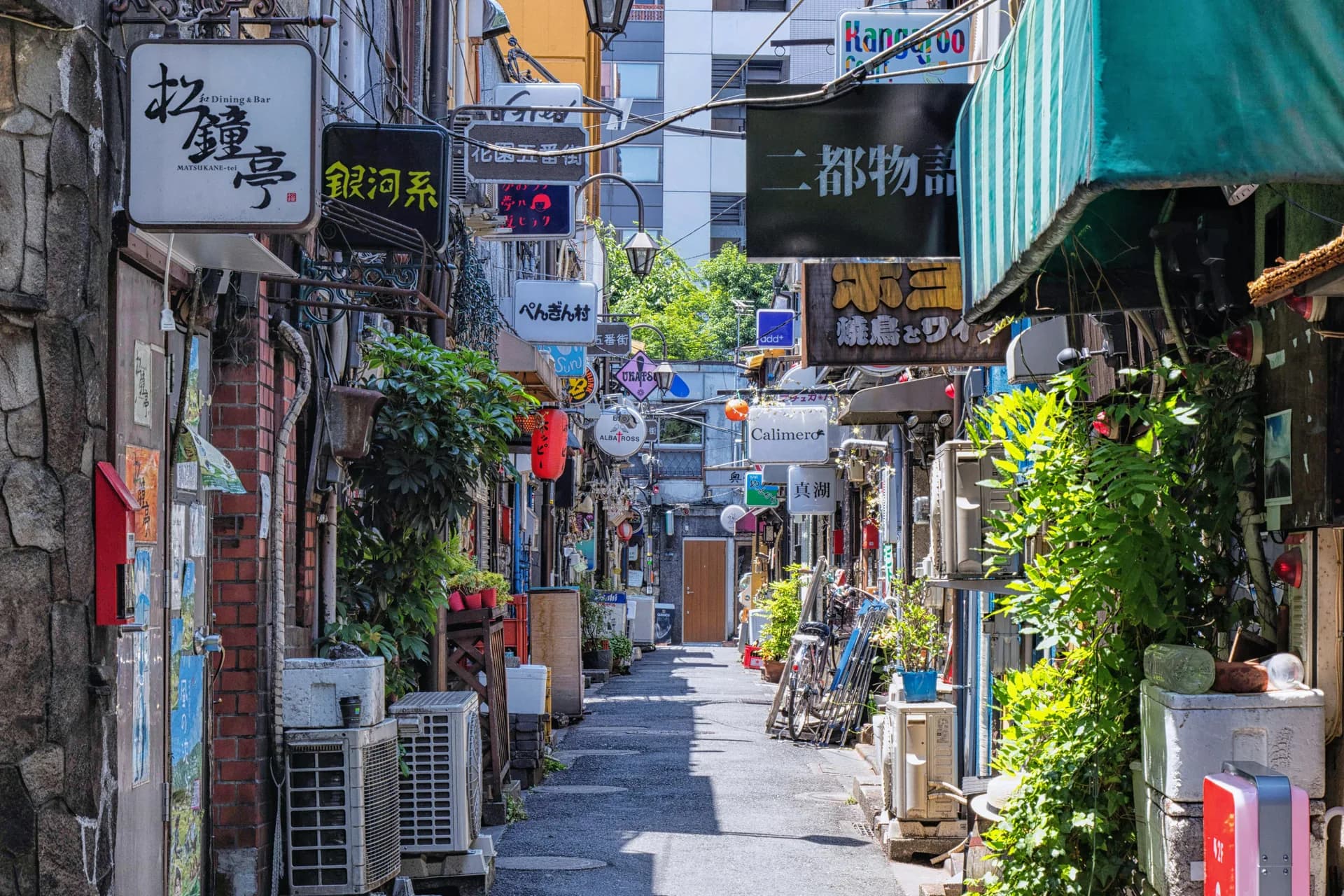 Setagaya-ku Area Guide