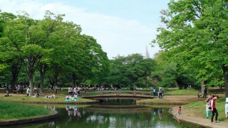 Tomigaya Area Guide