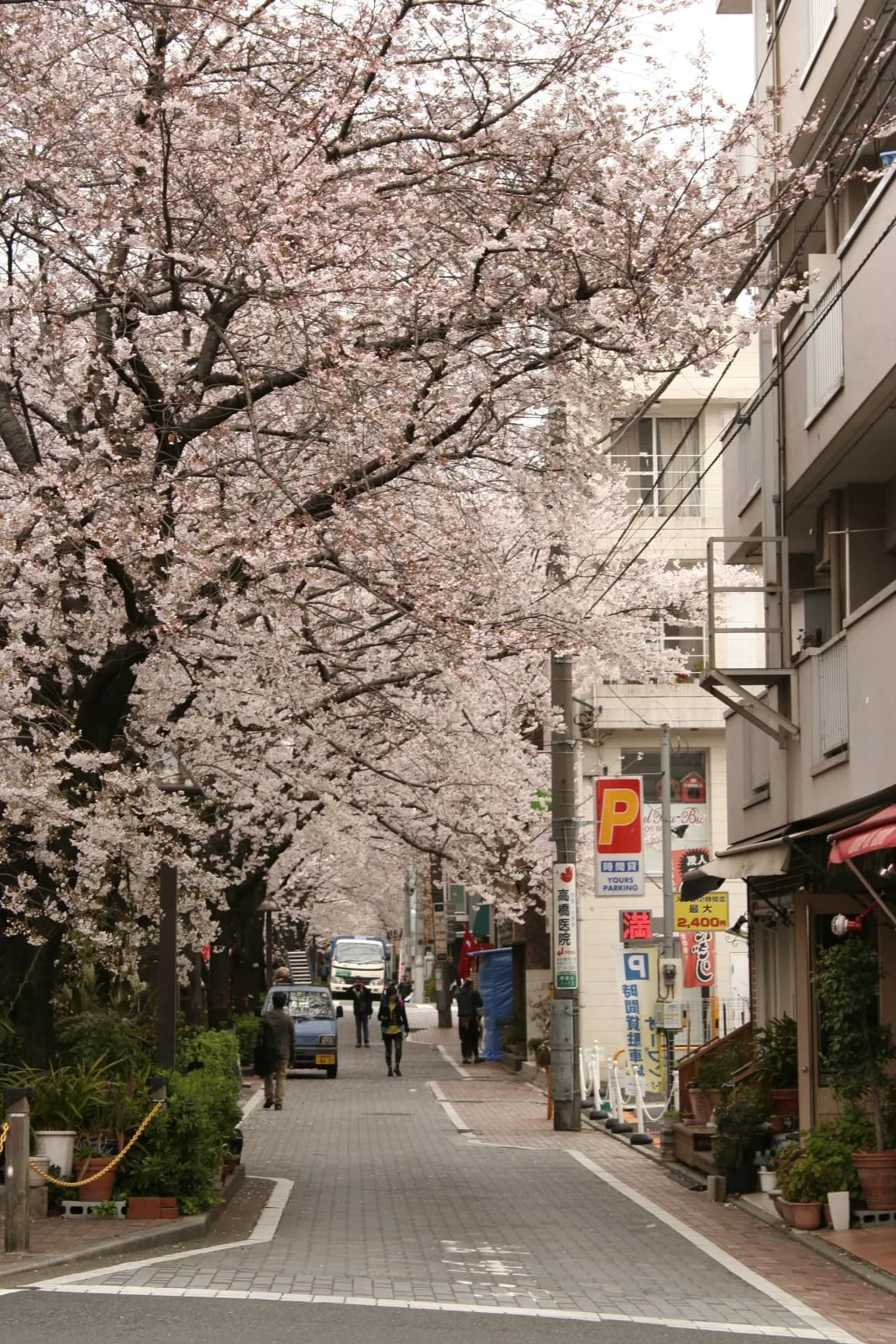 Aobadai (Meguro) Area Guide