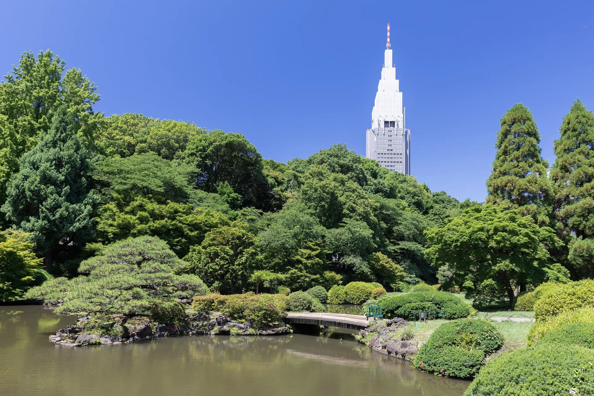 Shinjuku Gyoen Area Guide