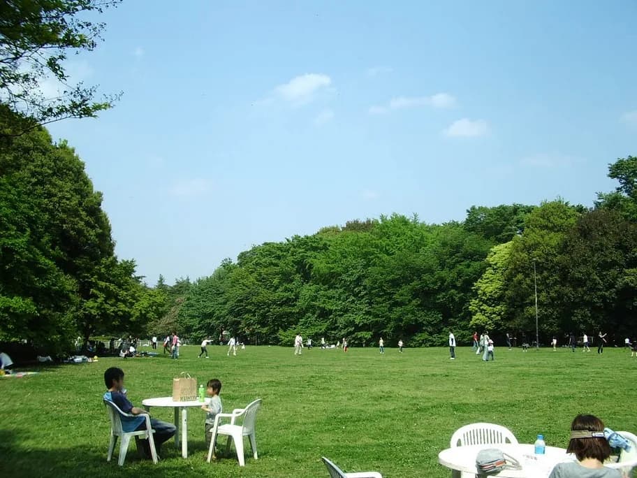Kamiyōga Area Guide