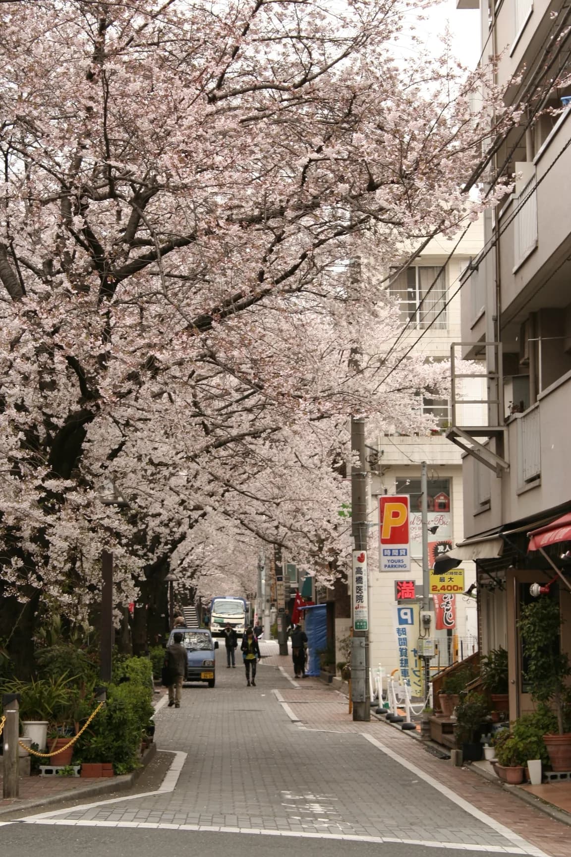 Jiyūgaoka Area Guide